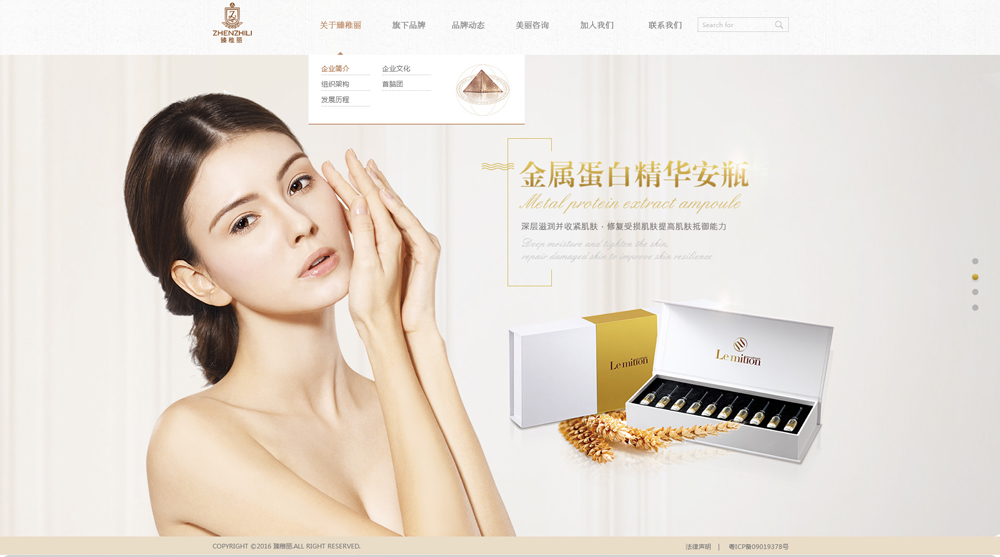 定制企業(yè)網站